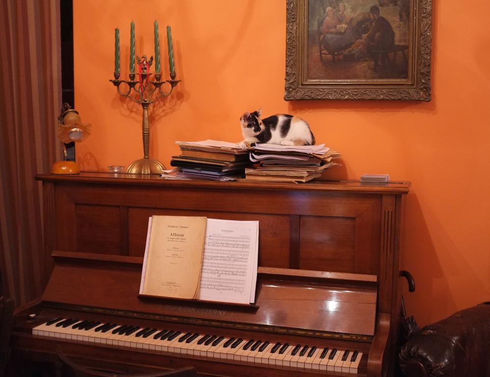 Piano Guest House كراكوفيا المظهر الخارجي الصورة